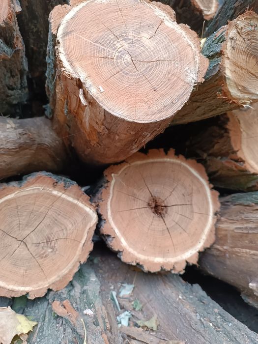 Продам свої дрова, колоті, метрові укладені