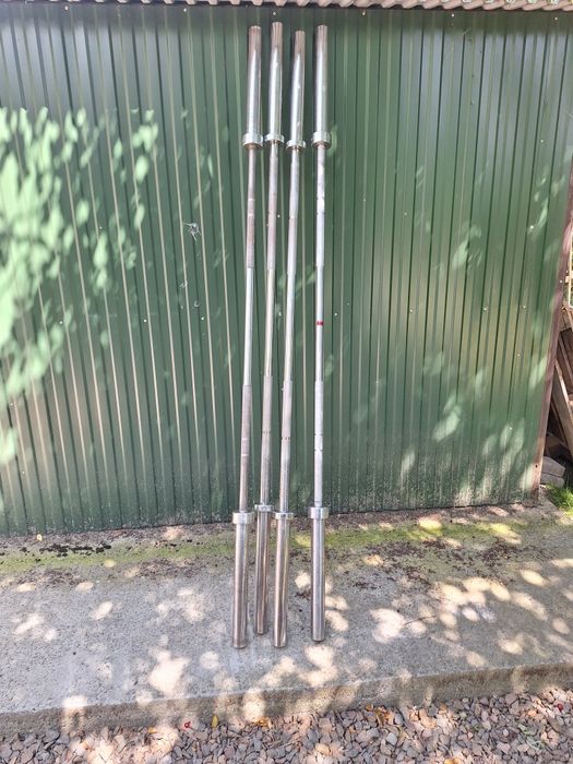 Gryf olimpijski Gipara