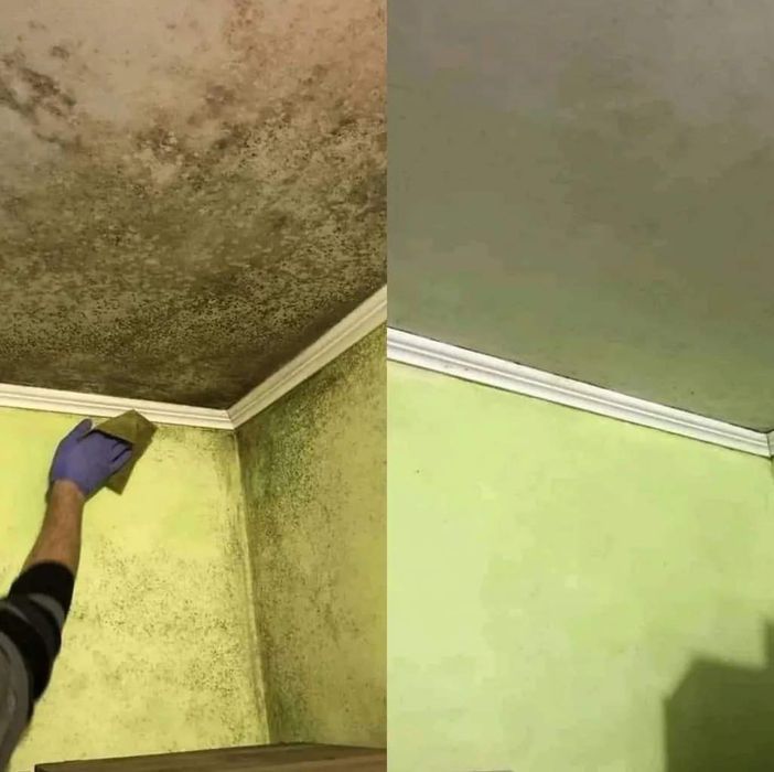 Засіб від плісняви. Дерелія