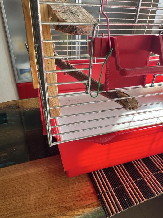 Клітка для папуг.