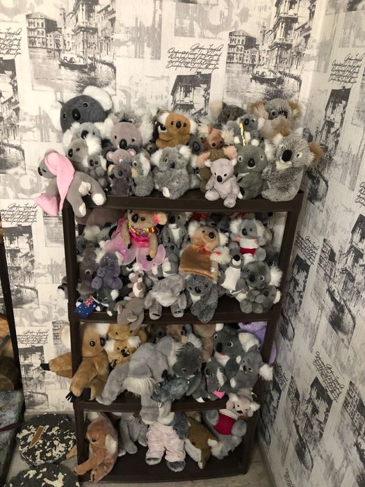 Колекція Коал Іграшок