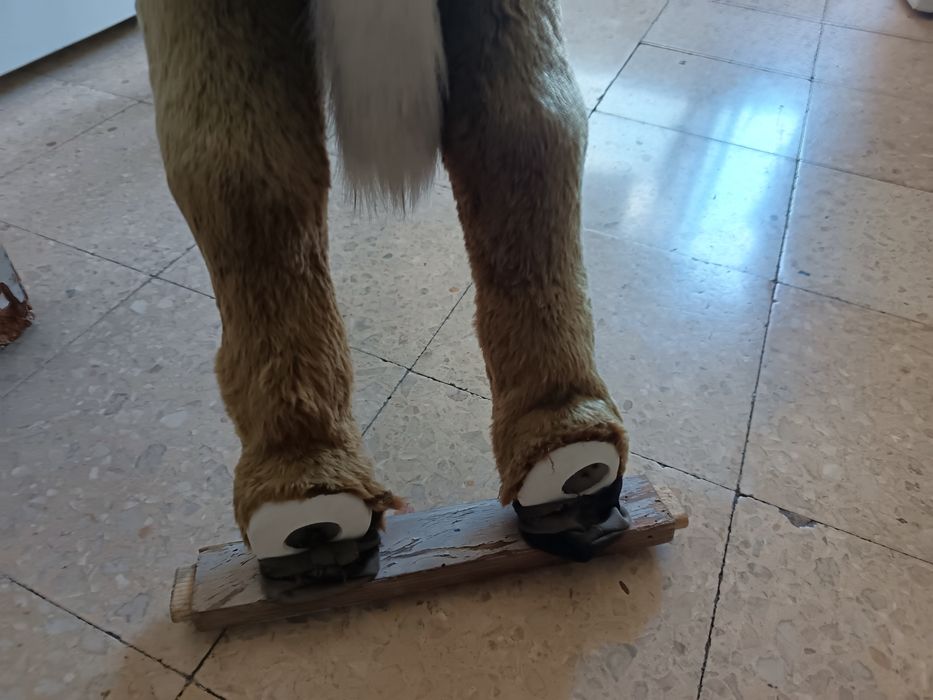 Brinquedo criança