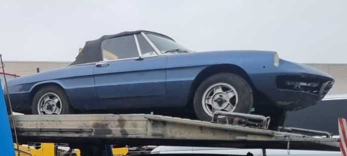 Alfa Romeo Spider - Coda Tronca