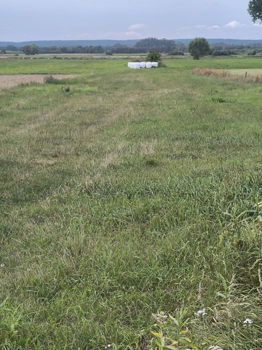 Działka pod Mławą  30arów pod budowę domu