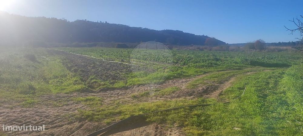 Terreno  para venda