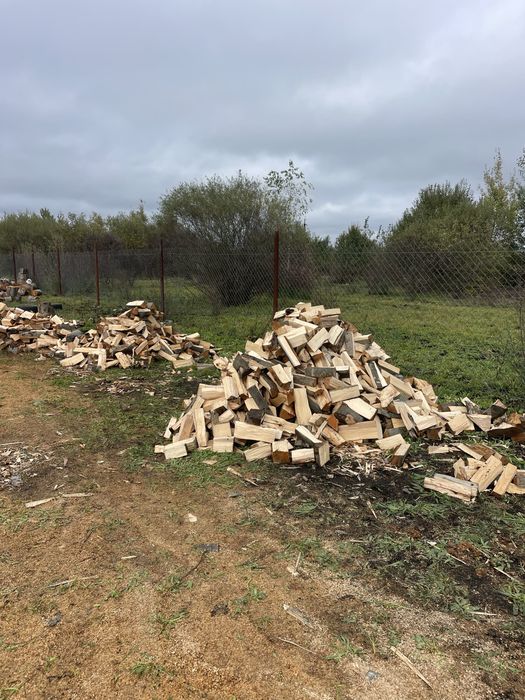 Дрова букові колоті