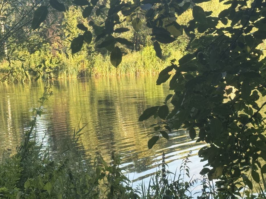 Сдам дом Люботин  Водяное речка пруд лес отдых