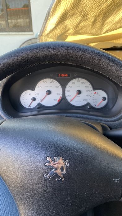 Peugeot 206 gasolina