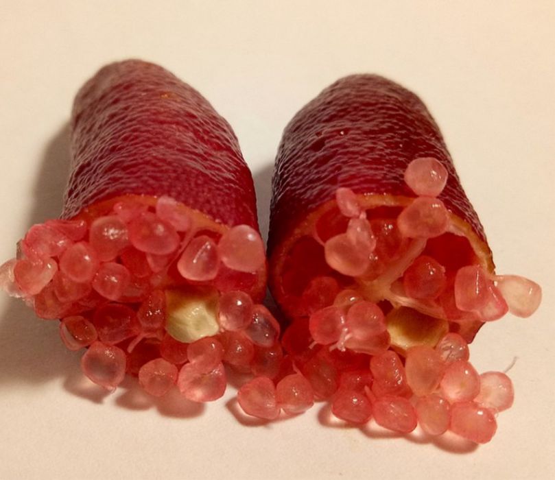 Árvores Limão Caviar Vermelho - Raro