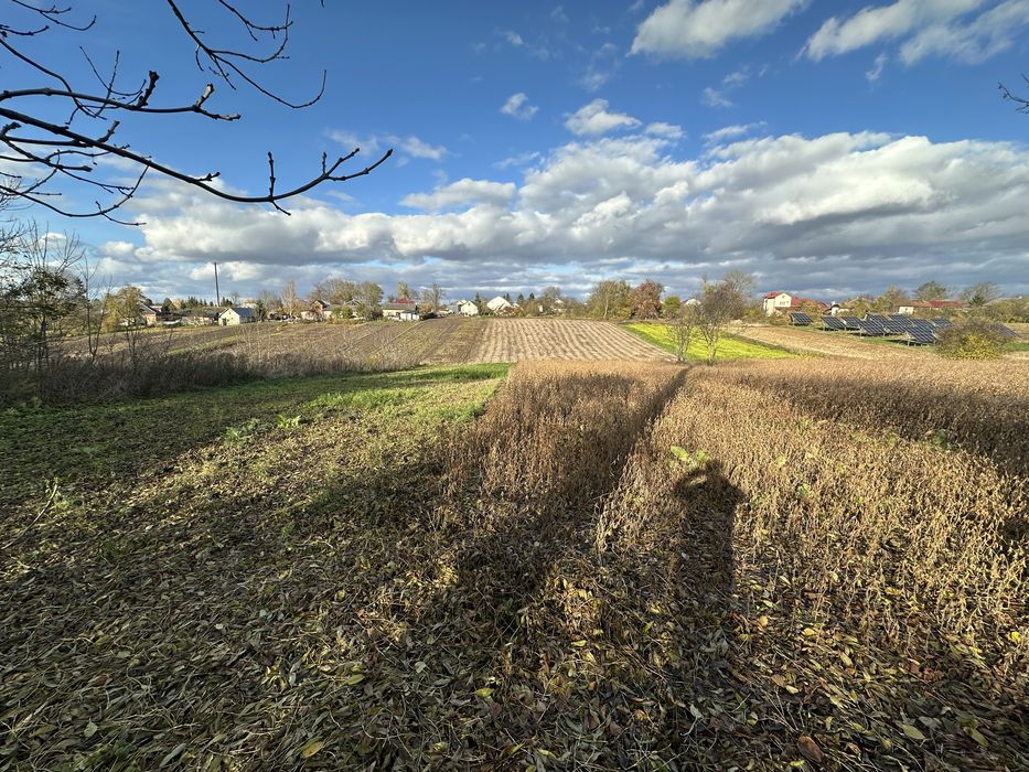Продається будинок в с. Розношинці (біля м. Збараж) продаж земельна