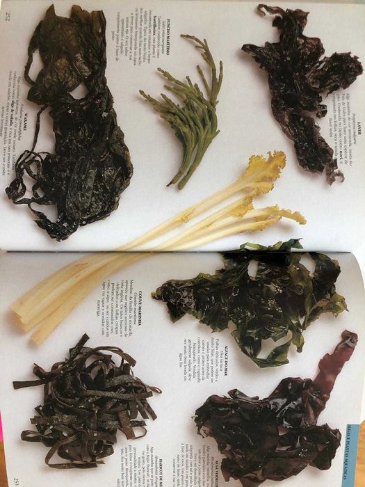 Enciclopédia "Ingredientes" – Loukie Werle e Jill Cox (384 pág.)