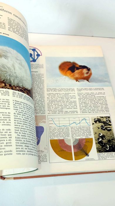 Animais da Terra