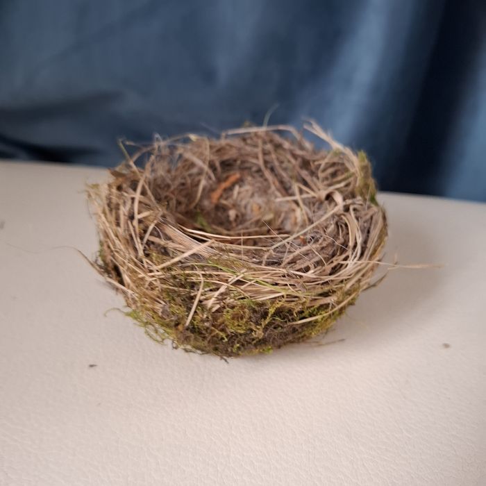 Справжне пташине гніздо  гнездо для канарейки