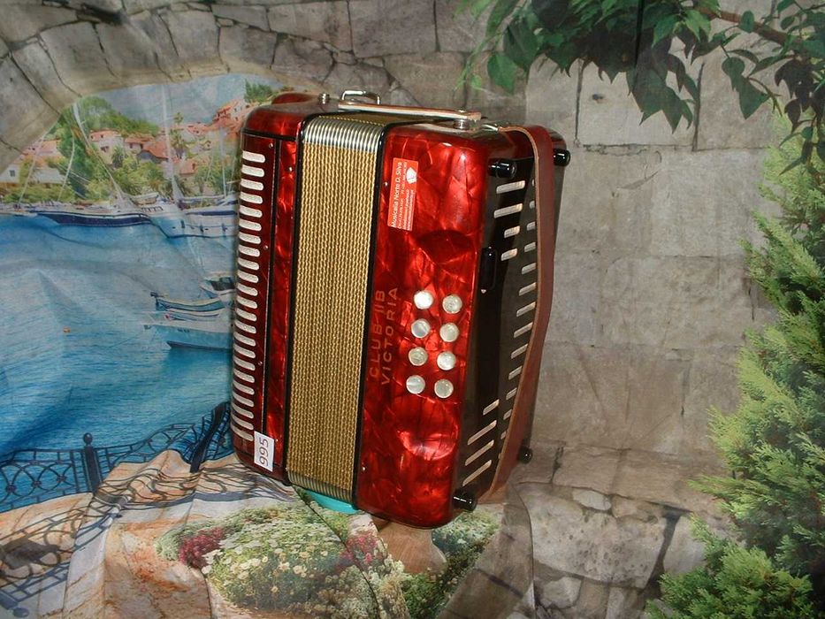 Promoção de Acordeões de concertinas