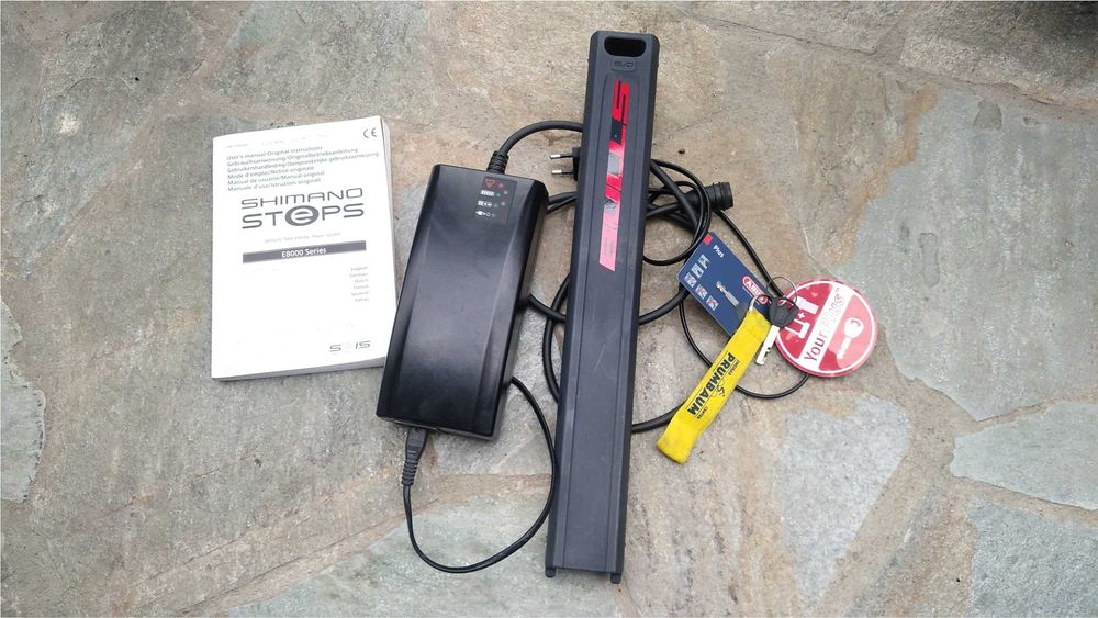 rower elektryczny Bulls E-Core Evo-TR