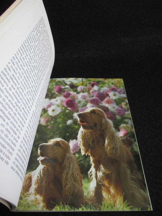 Livro O Cocker Sabine Middelhaufe 1ª edição 1993