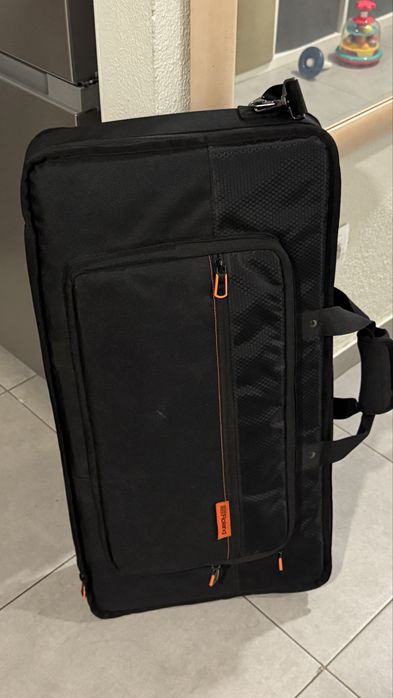 Roland gaia 2 + bag