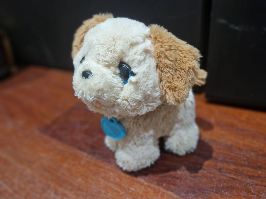 Peluches e peluche electrico que come e faz cócó