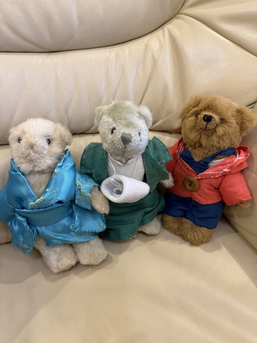 Ведмідь мішка venus promotion