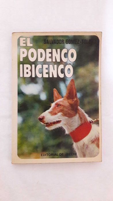 el podengo ibérico