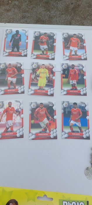 Cartas SLBenfica
