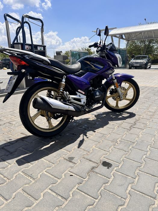 GEON pantera 202 cbf