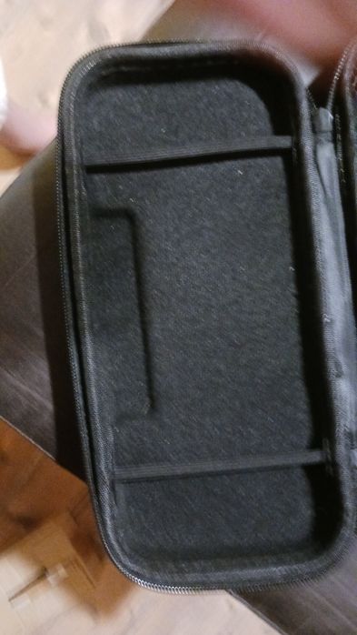 case nintendo swich