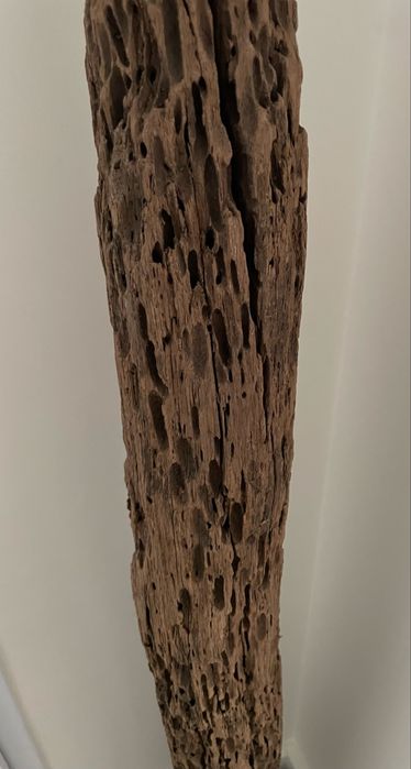 “Escultura” PAU DE ÁGUA