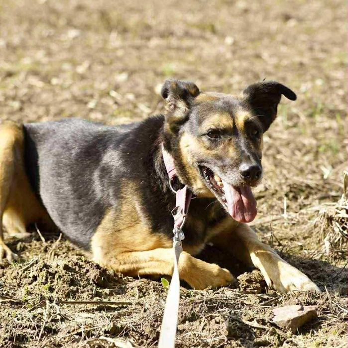 Radek - złamany przez Radysy. Nadal ma nadzieję.