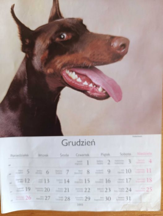 Kalendarz na ścianę z 2006 roku
