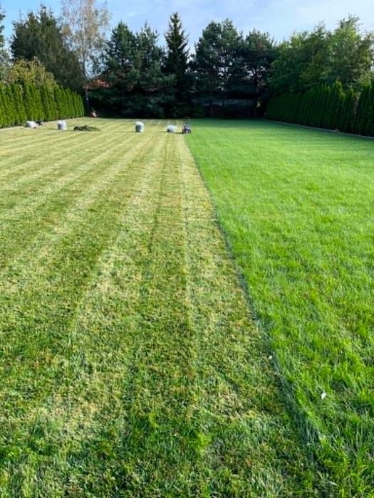Koszenie trawników, wycinka drzew, prace porządkowe
