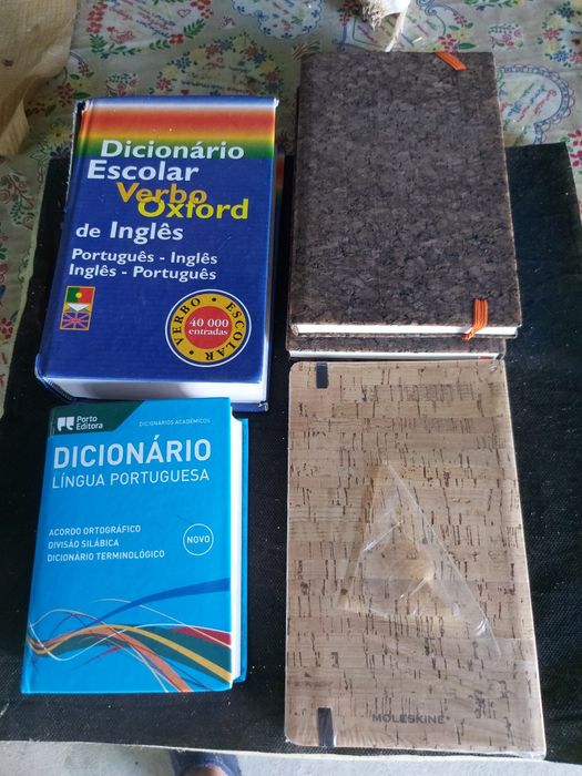 2 dicionários e 3 blocos de apontamentos