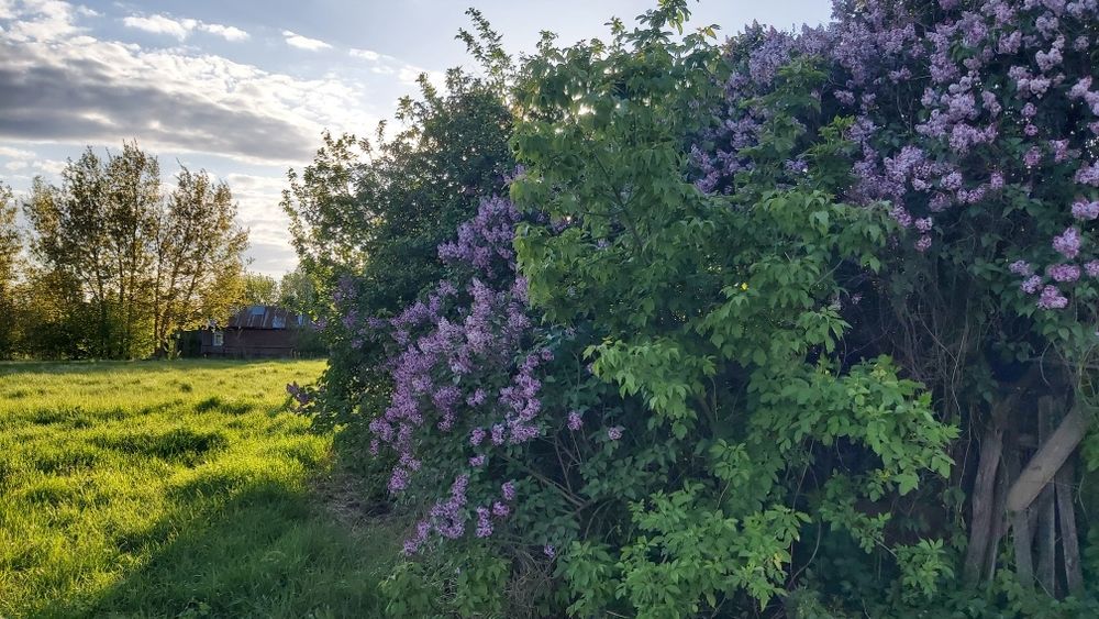 Будинок з газом,  25 км від Чернігова.