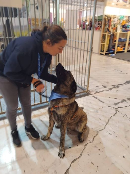 Nante - Para adoção ou fat definitiva