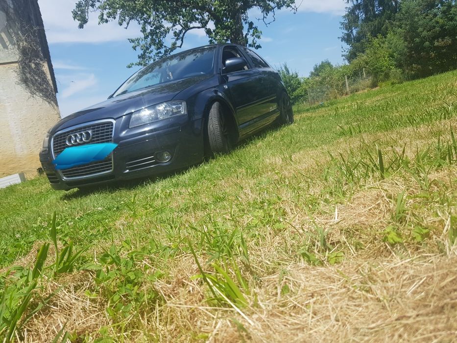 Audi A3 8p 1.9 tdi