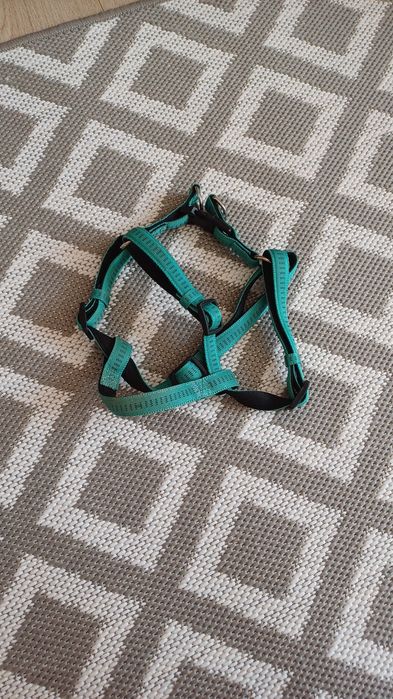 Поводок для собак zoofari