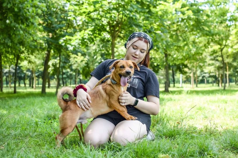 Uroczy, rudy kawaler wniesie do Domu dużo energii i radości!