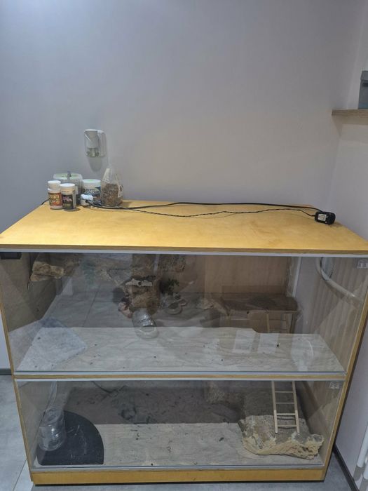 Terrarium dla agamy brodatej