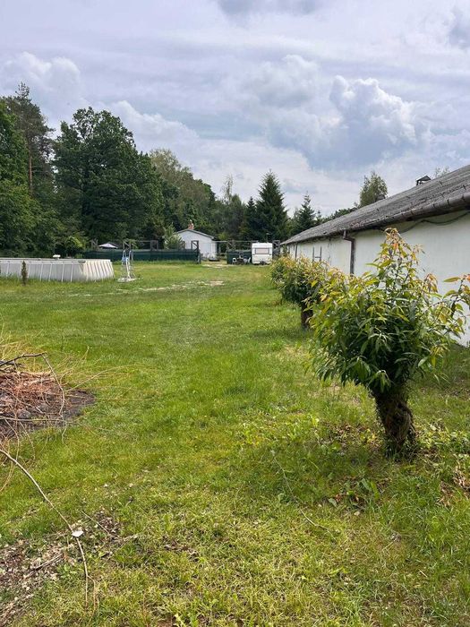 Unikalna Działka Rolno-Budowlana 10023 m² z domem, Borowina, pod Warszawą. Konstancin Jeziorna i okolice. Inwestycyjna bezpośrednio pod lasem - Widok 4
