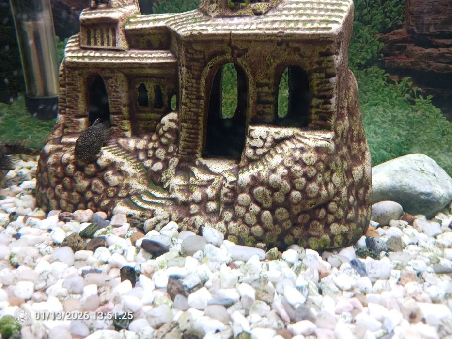 Akwarium Aquarele+ zestaw do czyszczenia