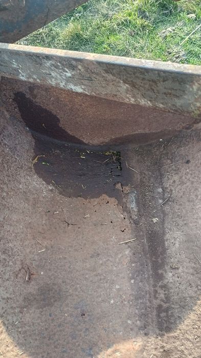 Łyżko krokodyl Mailleux