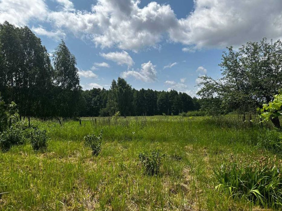 Продаж ділянки 67 соток під забудову. Огорожа. ЕЛЕКТРИКА. Вода. ID:723