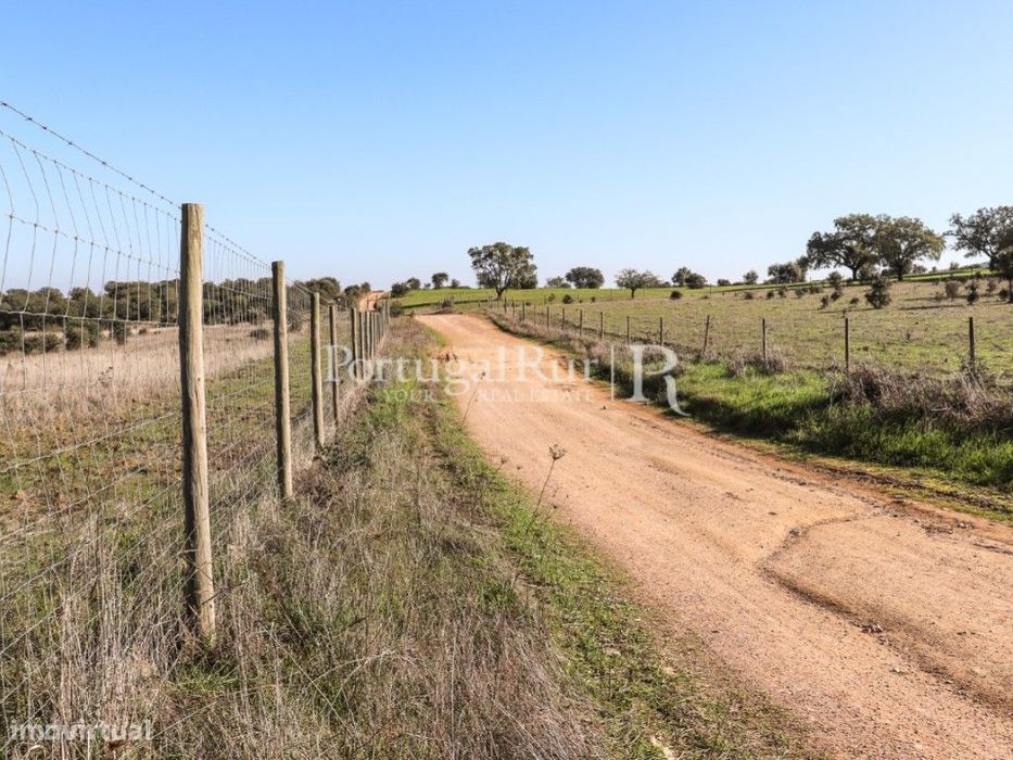 Quinta de 7,5 ha em Cabeça de Carneiro, Alandroal