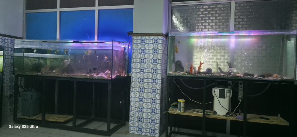 2 aquarios para venda um de 1.50 e um de 1.83 250€ e 300 respectivamen