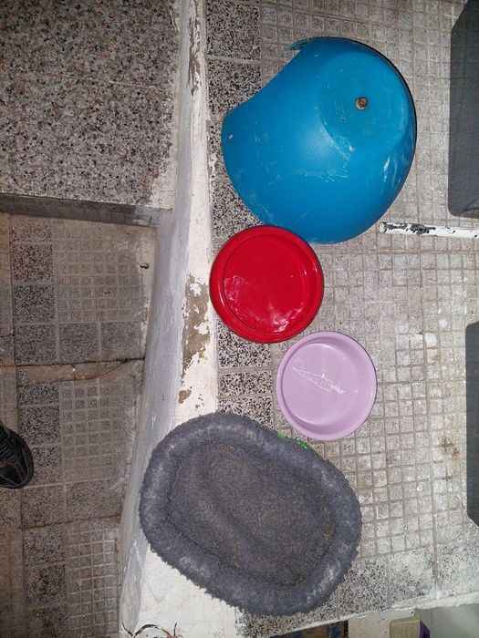 Vendo acessórios para porquinhos