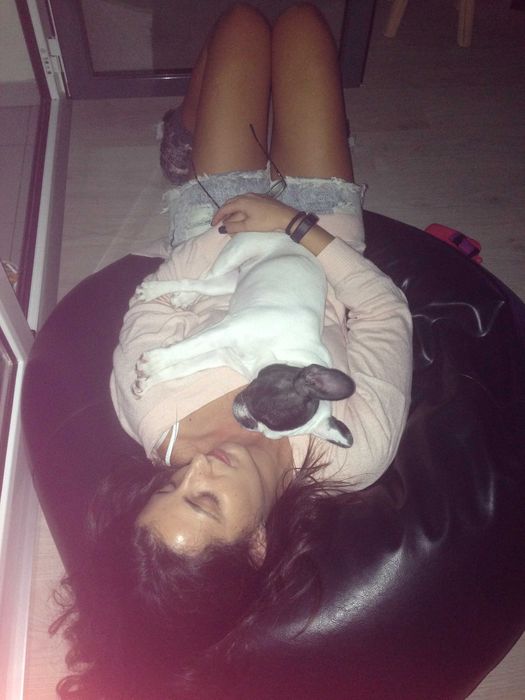 Estadia Familiar para Animais Domésticos Amadora