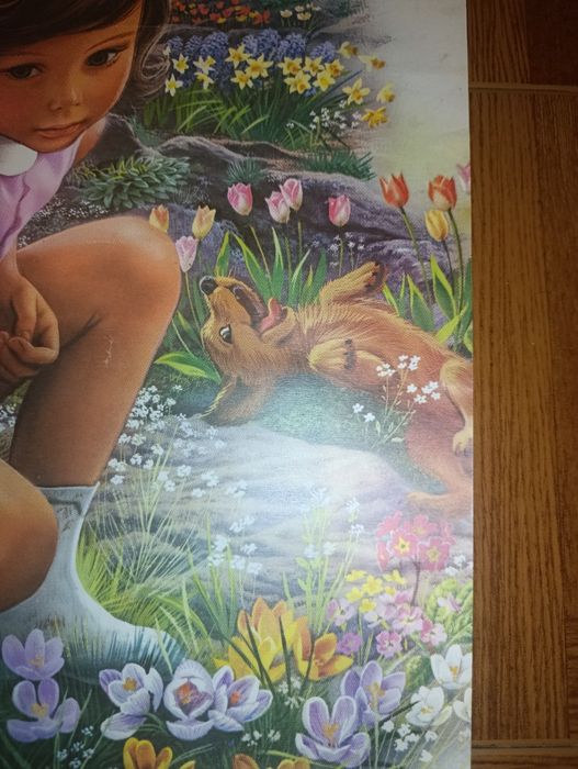 Raro Cartaz Anita no Jardim 1976