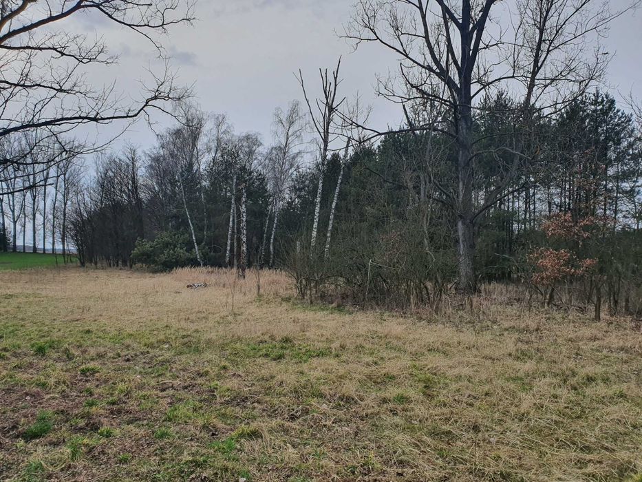 Działki budowlane, Chlewice ul. Partyzantów