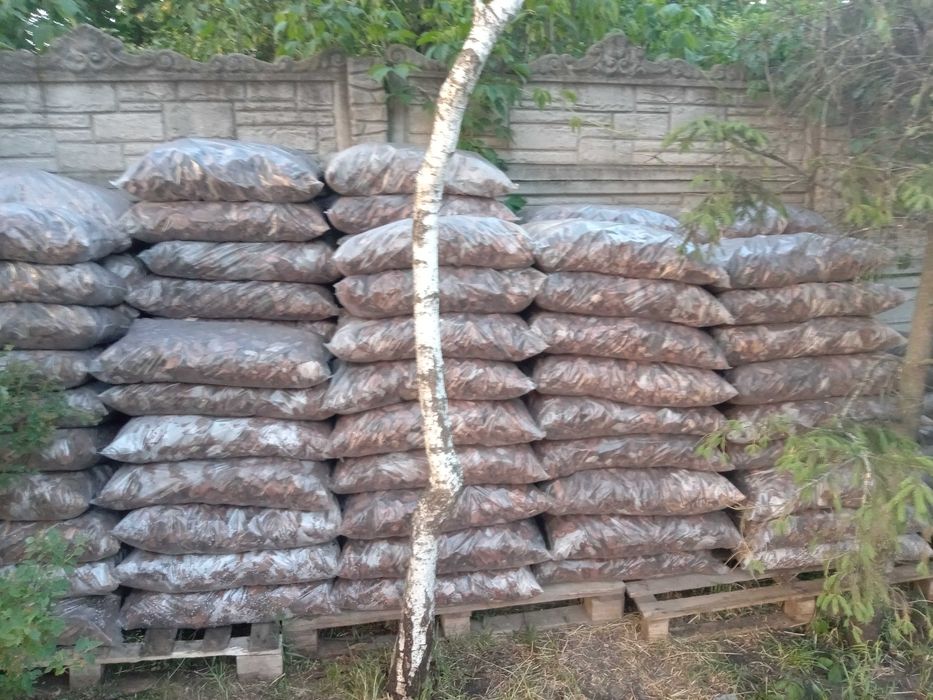 Кора сосны. Идеальная. Хорошая цена