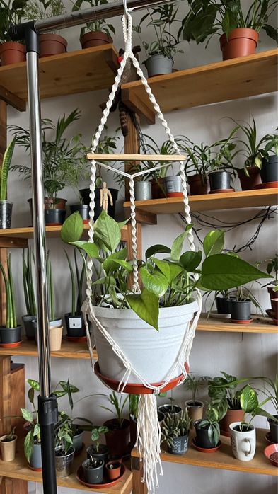 Кашпо кошики